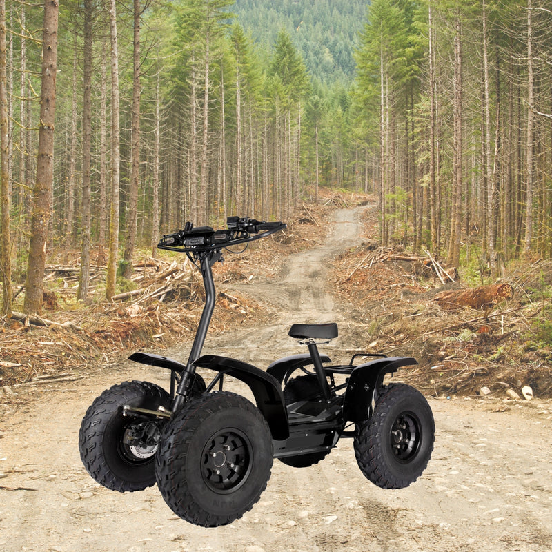 Load image into Gallery viewer, QT-E01 6000W 4 Motor 4-Wheel Off Road Electric Scooter
